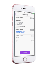 openpay23.png